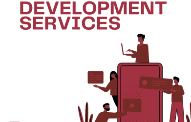 software development services